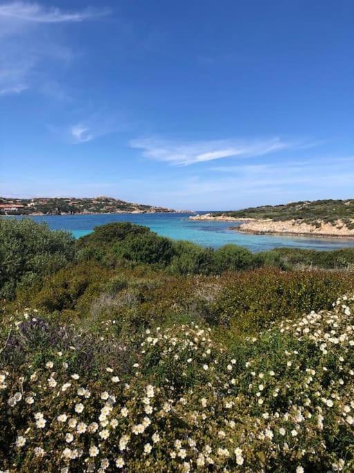 Casa Indipendente Zona Centrale La Maddalena  Eksteriør bilde
